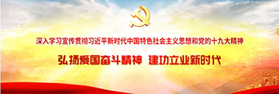 学习贯彻习近平新时代中国特色社会主义头脑和党的十九大精神